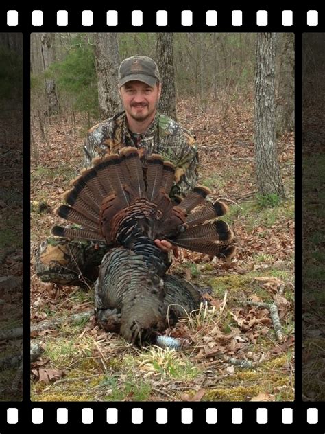 Find or post <strong>hunting</strong> leases, outfitters, and guides today at <strong>Hunting</strong> Locator, the nation's most reputable source for finding deer and other game <strong>hunting</strong> opportunities throughout. . Tennessee turkey hunting outfitters